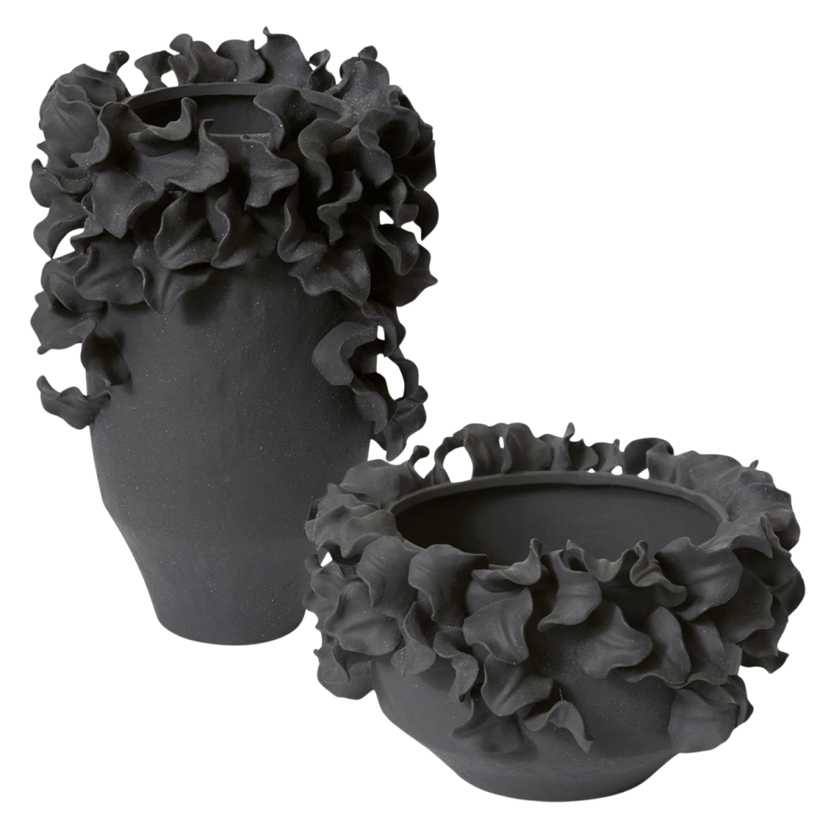 NOCTRA ORGANIC EDGE COLLECTION